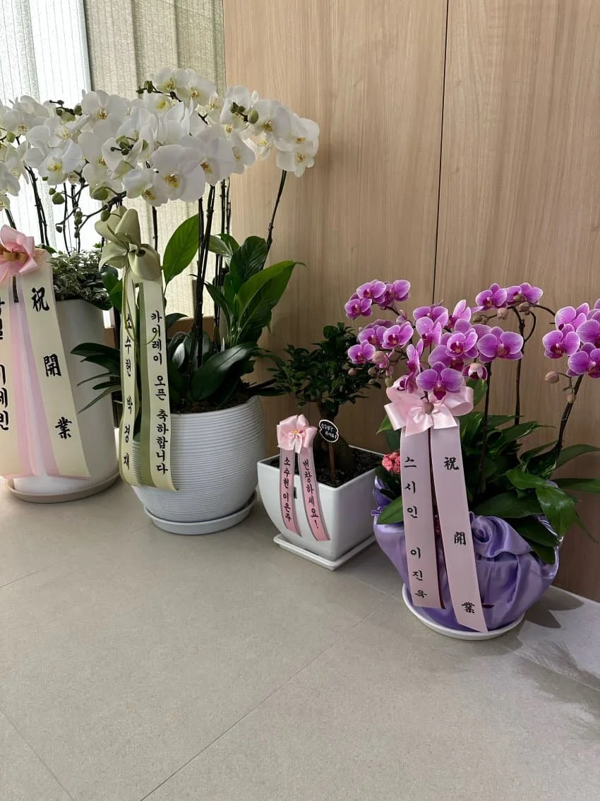 스시 카이레이 리뷰 사진 2